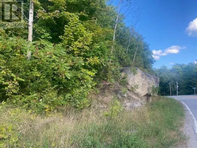 000 COUNTY RD 11, JONES FALLS ROAD
