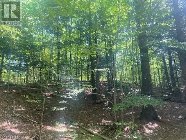 000 COUNTY RD 11, JONES FALLS ROAD