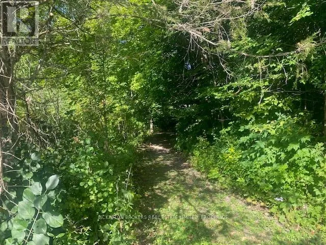 000 COUNTY RD 11, JONES FALLS ROAD