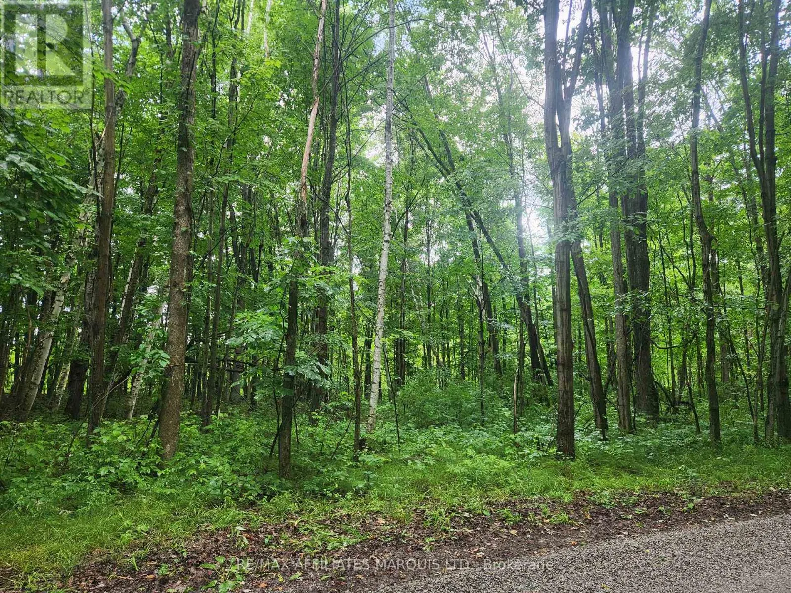 LOT CEDAR SANDS ROAD