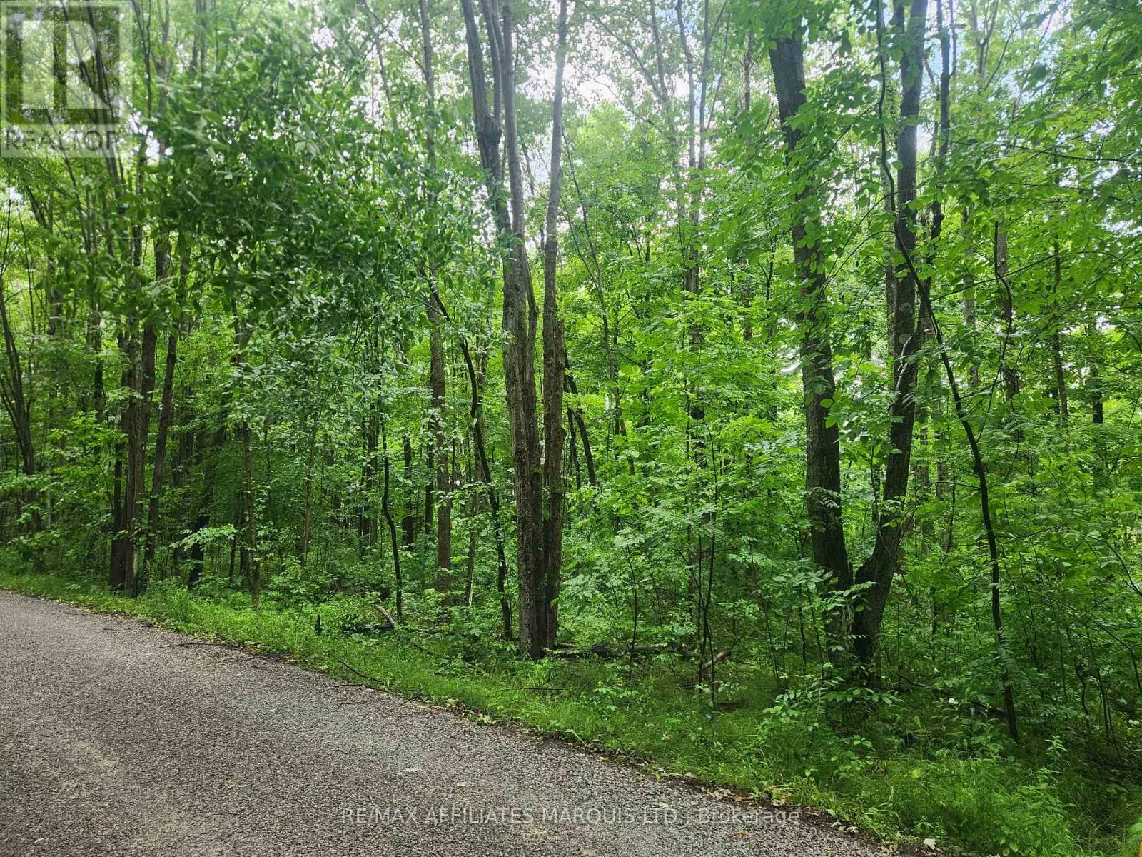 LOT CEDAR SANDS ROAD