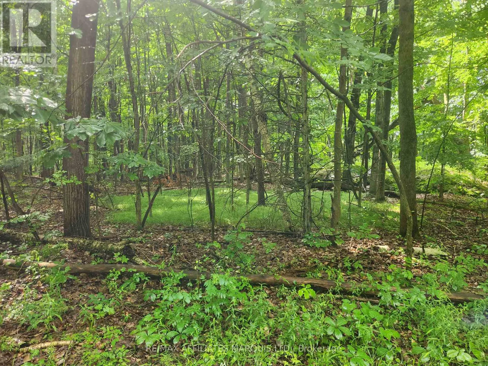 LOT CEDAR SANDS ROAD