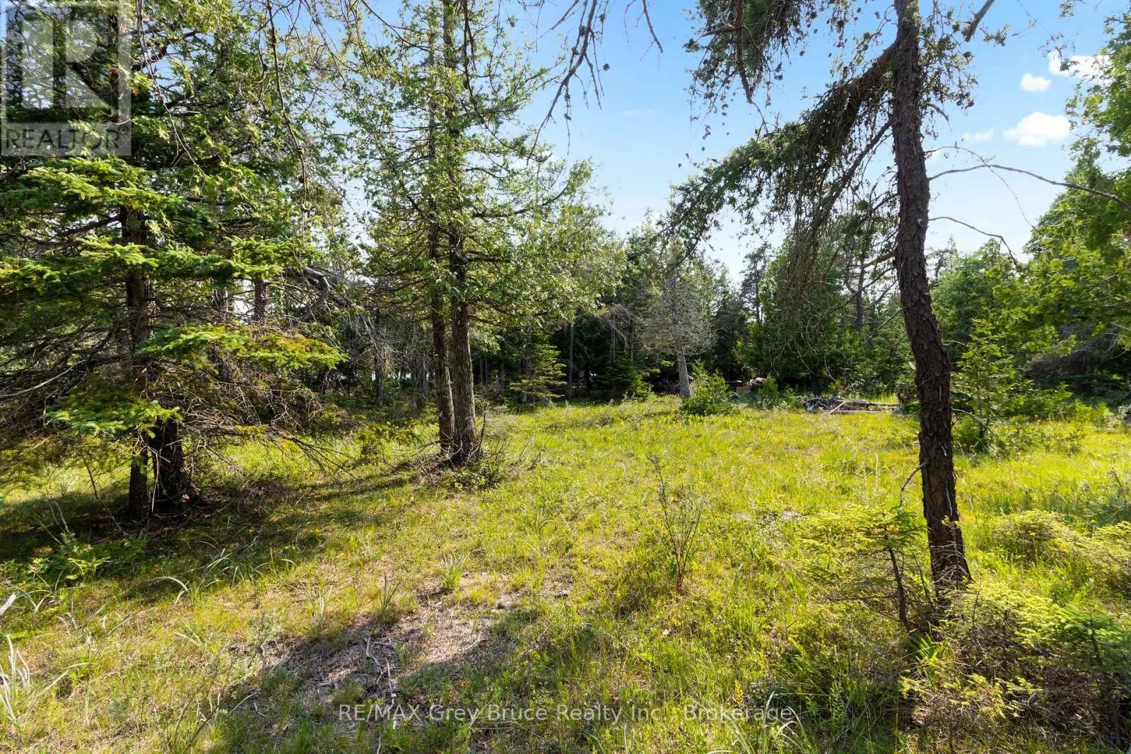 850 DORCAS BAY ROAD