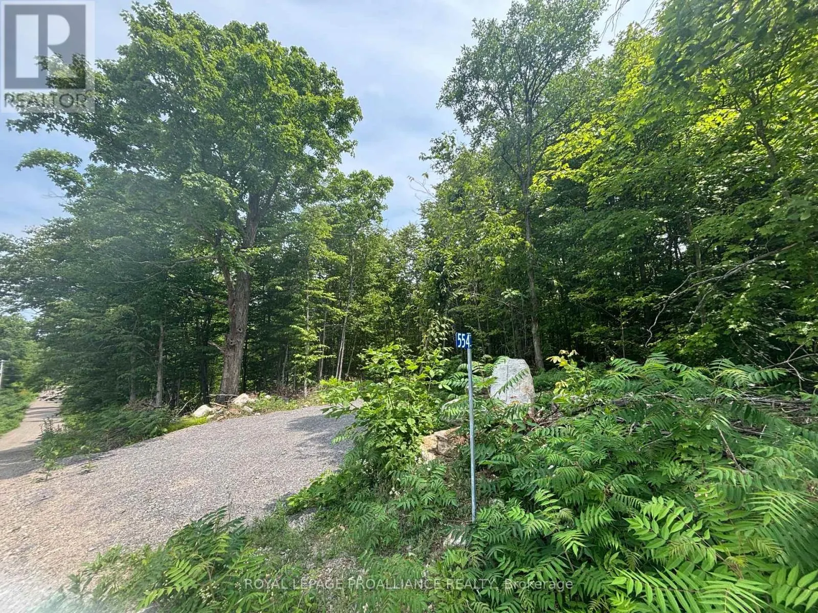 SEVERED B - 554 PIGDEN ROAD, #Severed B