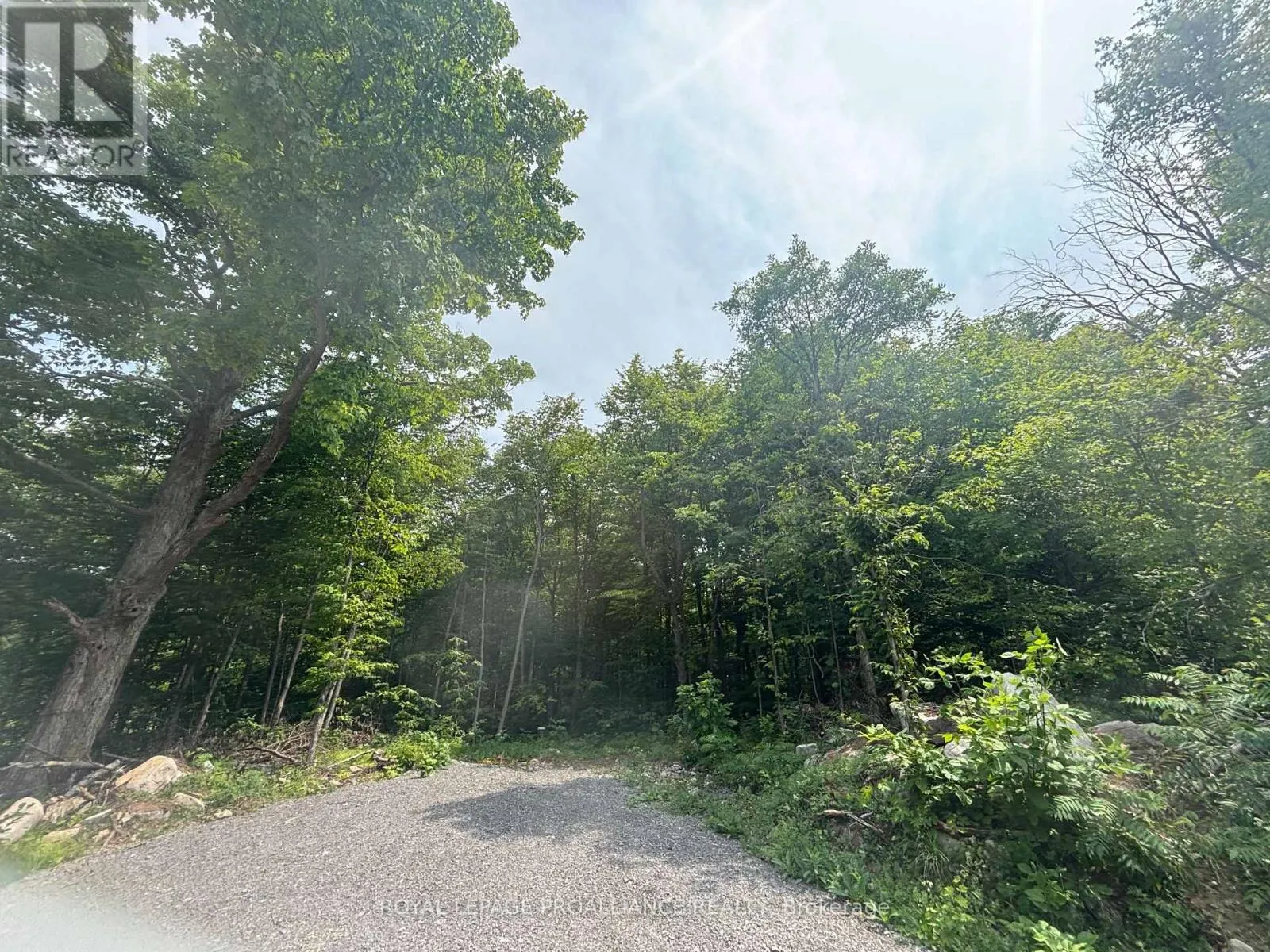 SEVERED B - 554 PIGDEN ROAD, #Severed B