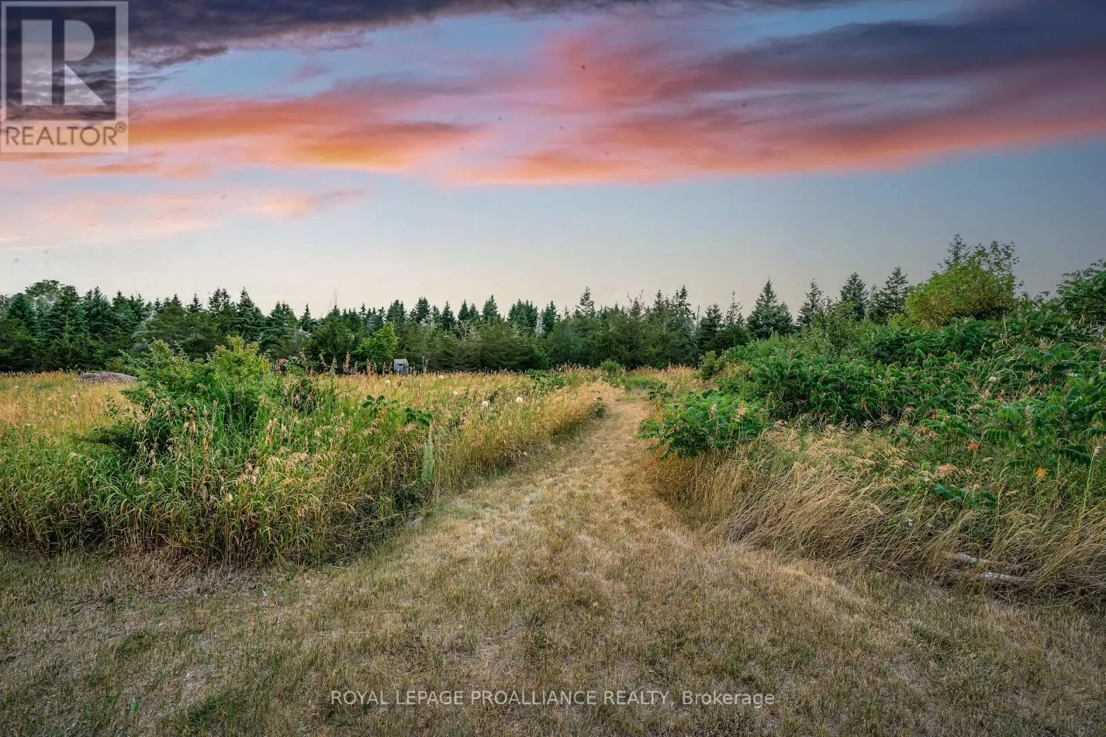 3947 COUNTY ROAD 8