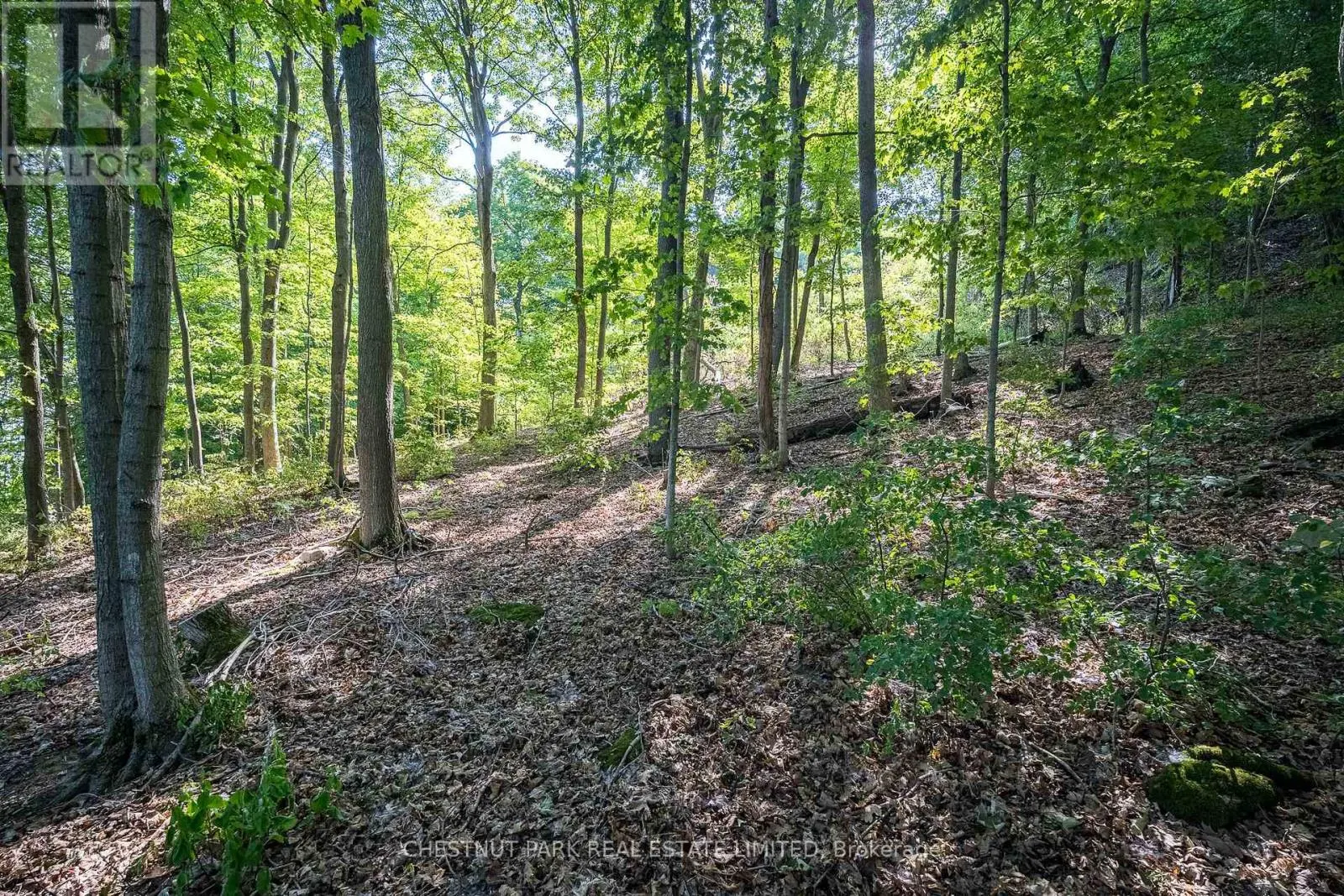 2035 COUNTY RD 7