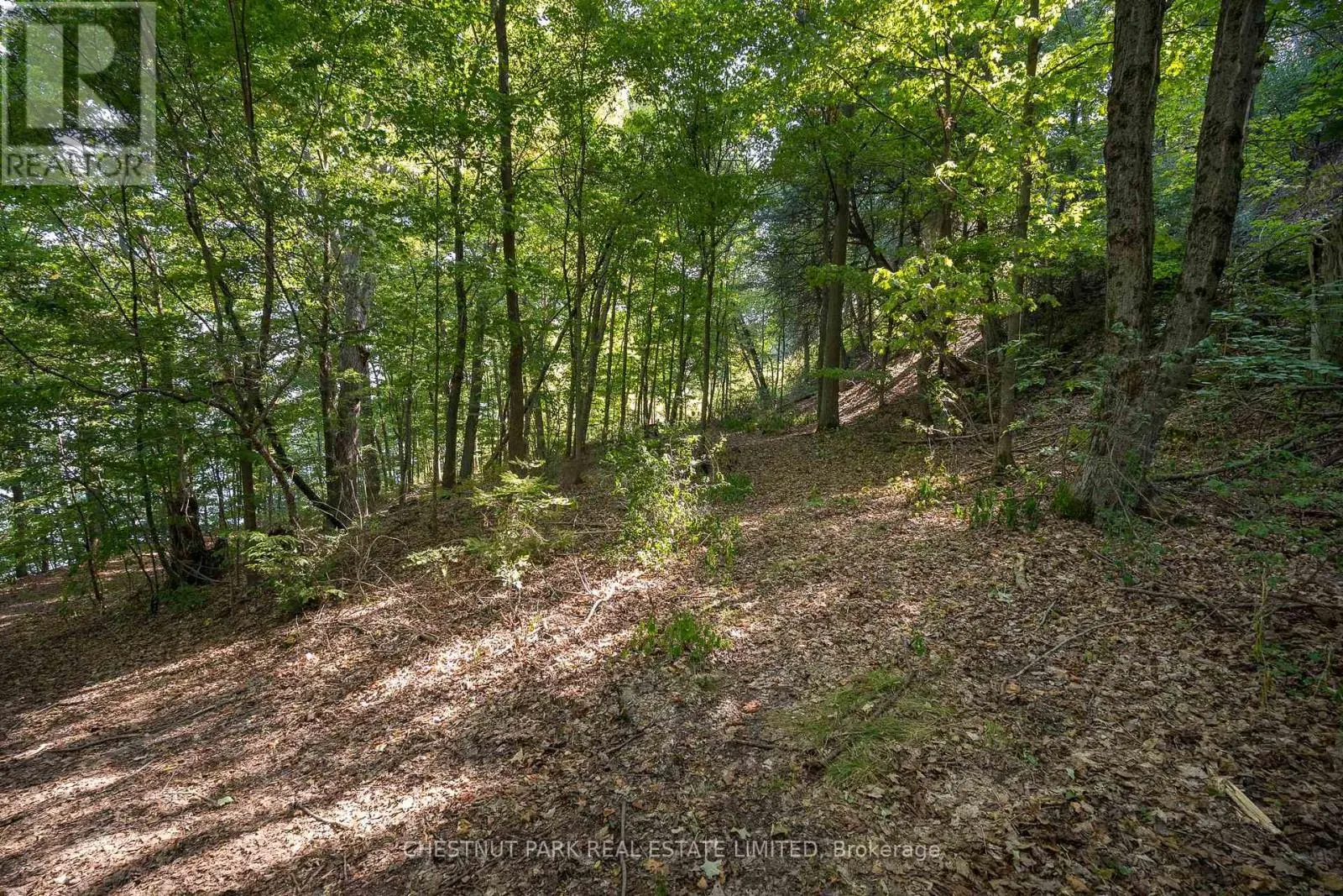 2035 COUNTY RD 7