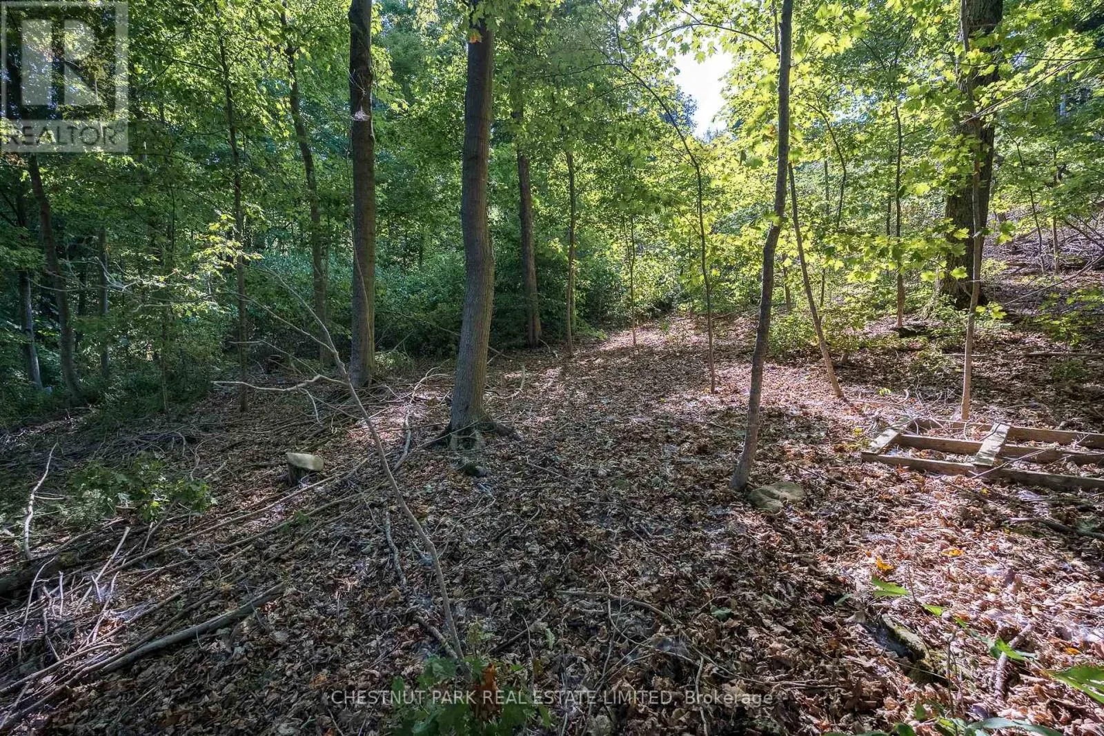 2035 COUNTY RD 7