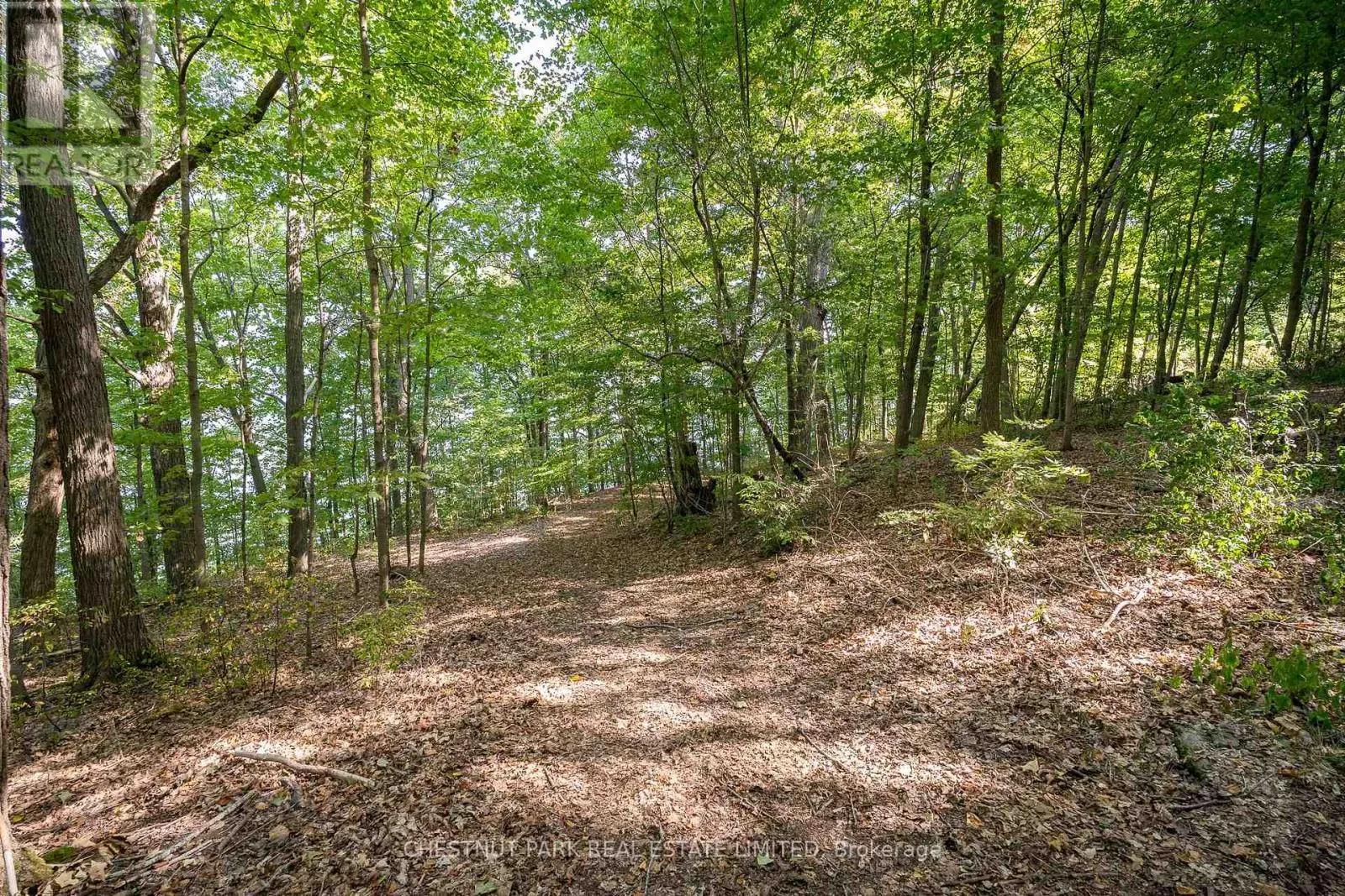 2035 COUNTY RD 7