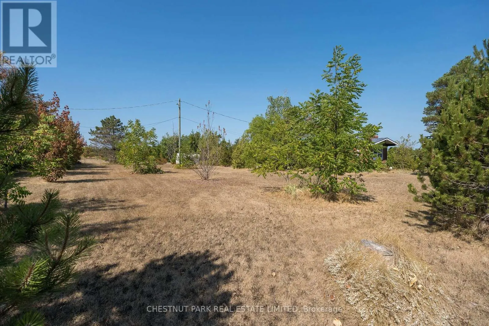 2035 COUNTY RD 7