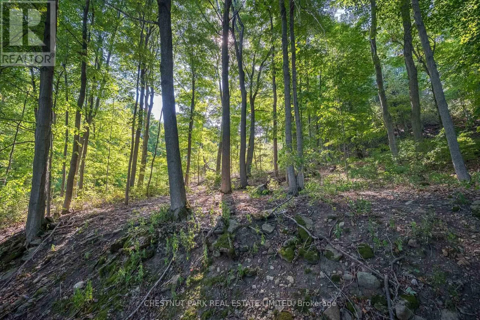 2035 COUNTY RD 7