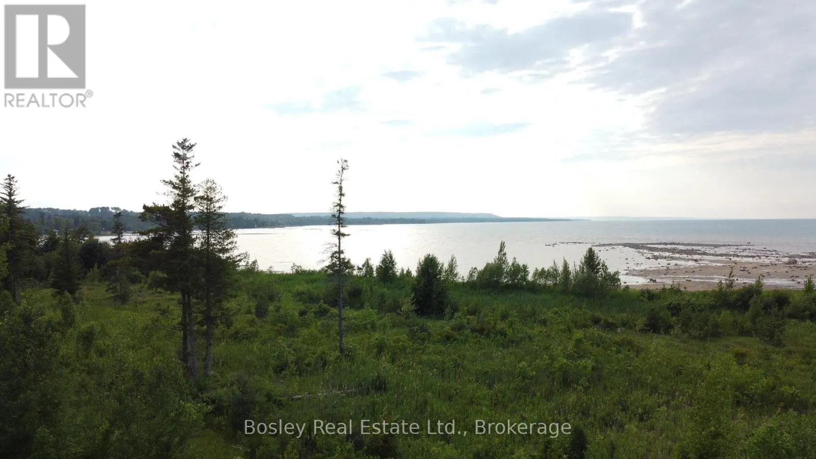 115 - 140 SEBASTIAN STREET, #115