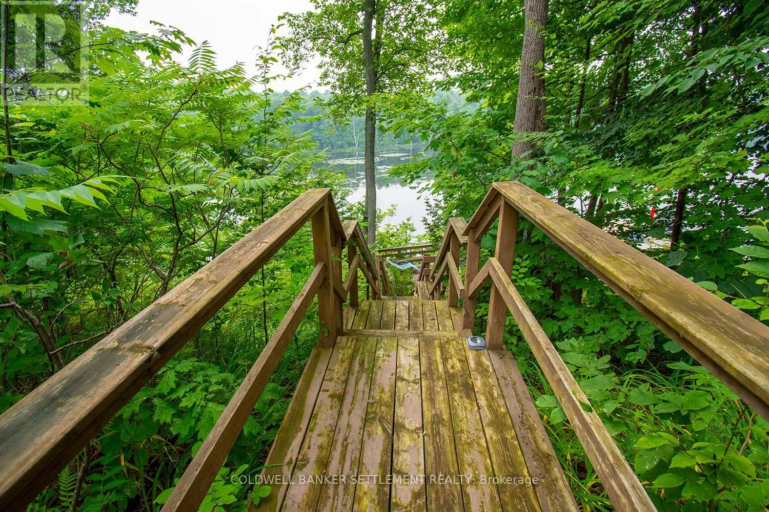 101 ISLAND DRIVE LANE