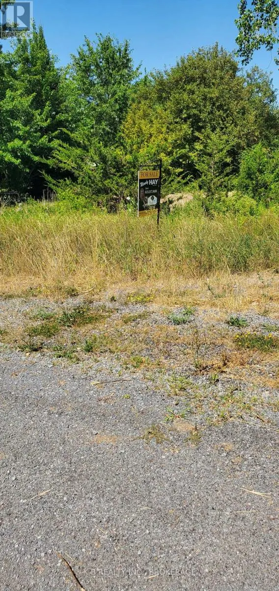 66 DORLAND DRIVE