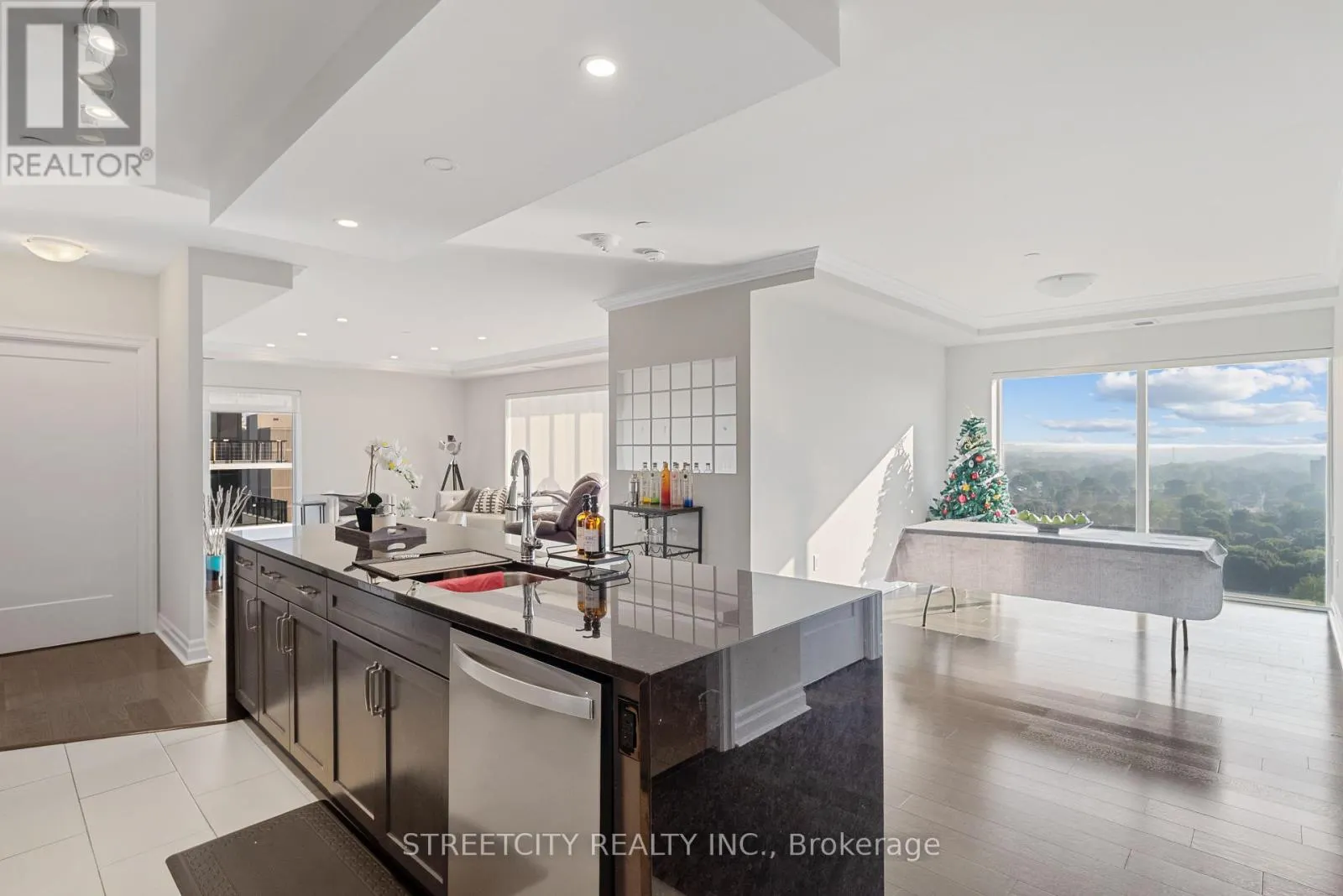 1709 - 505 TALBOT STREET, #1709