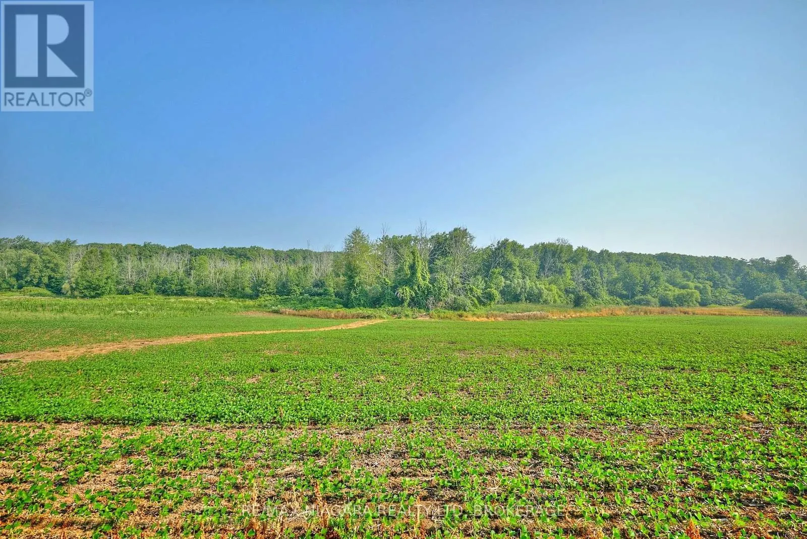 298 RIDGE ROAD W