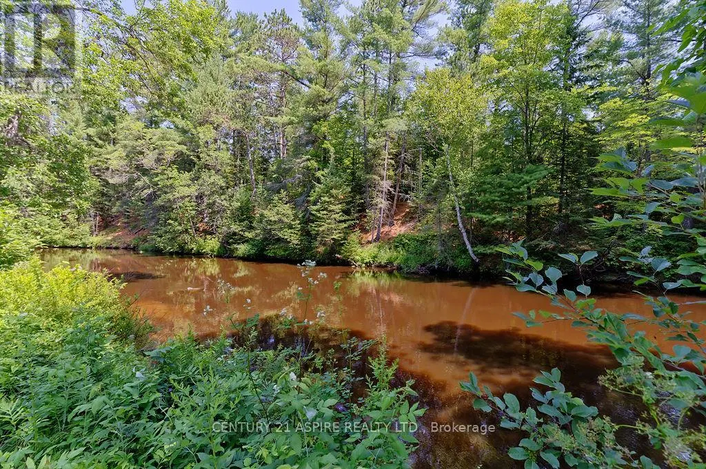 539 SCHWAN ROAD