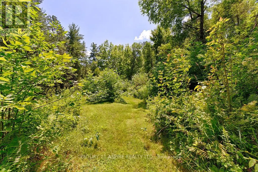 539 SCHWAN ROAD