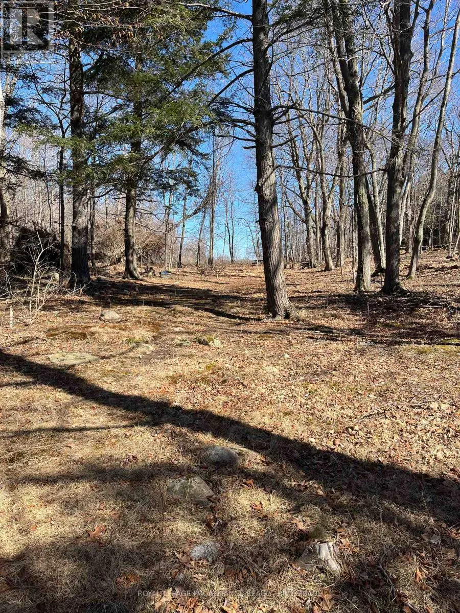 PT LT 6-7 16TH LINE ROAD