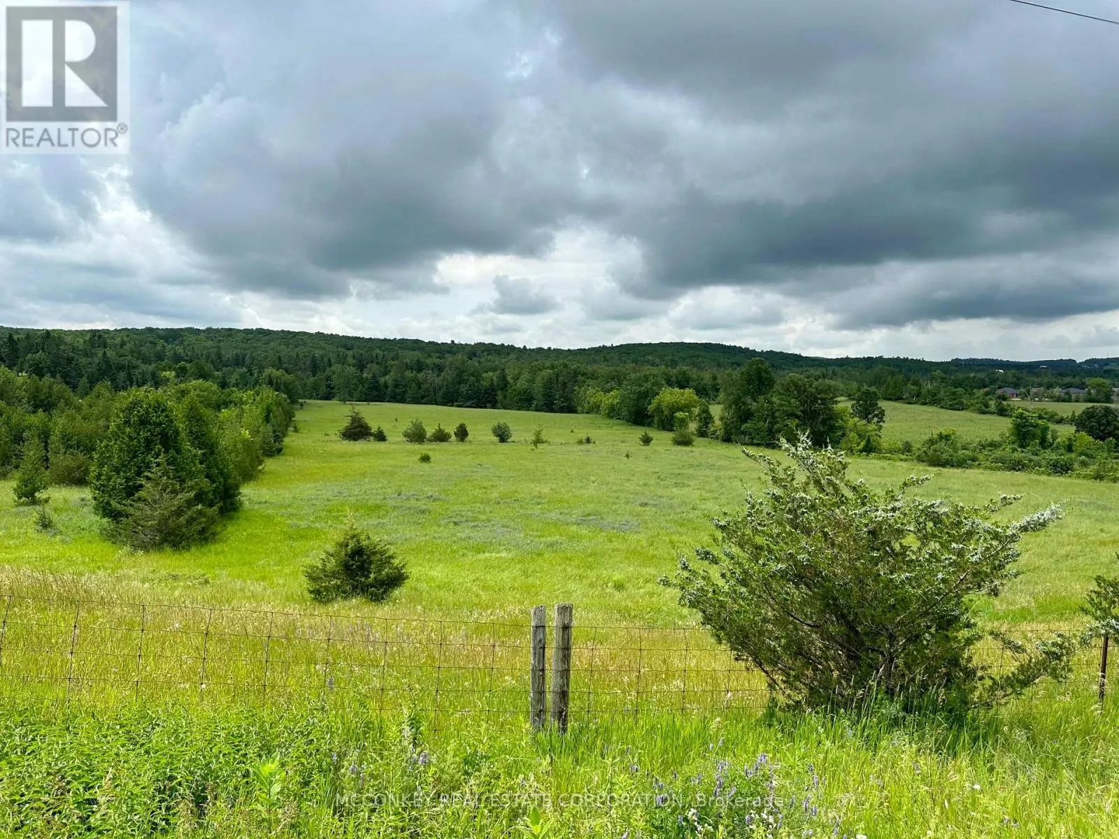 227 CONCESSION ROAD 13 E