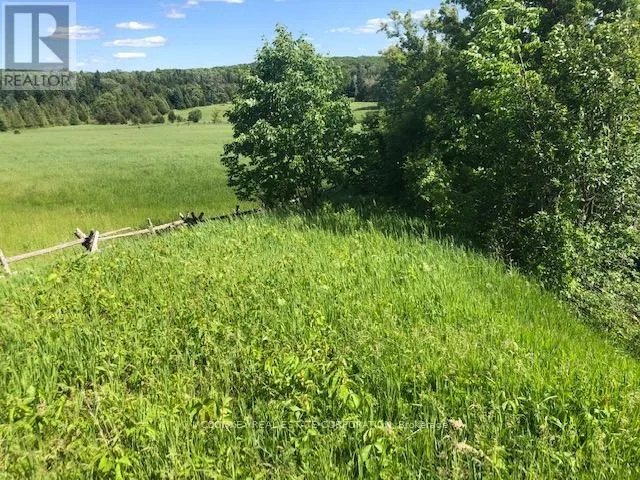 227 CONCESSION ROAD 13 E