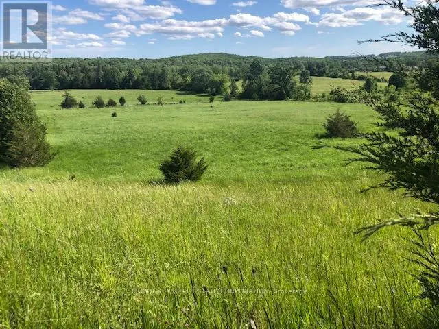 227 CONCESSION ROAD 13 E