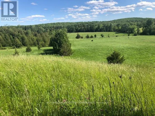 251 CONCESSION RD 13 E