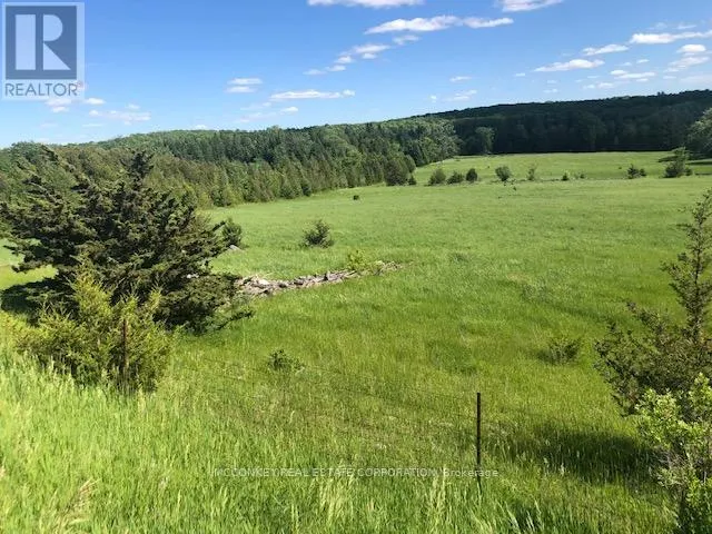 251 CONCESSION RD 13 E
