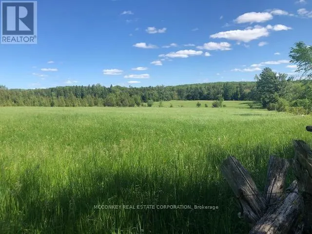 251 CONCESSION RD 13 E