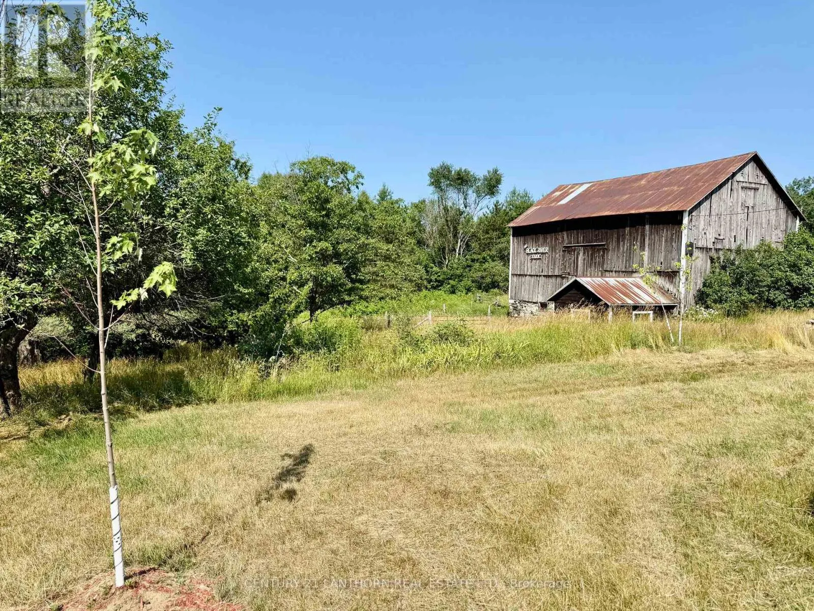 172 BLACK RIVER ROAD