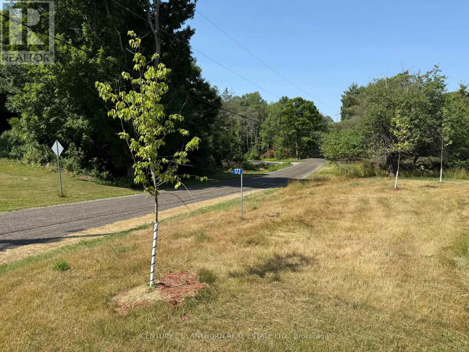 172 BLACK RIVER ROAD