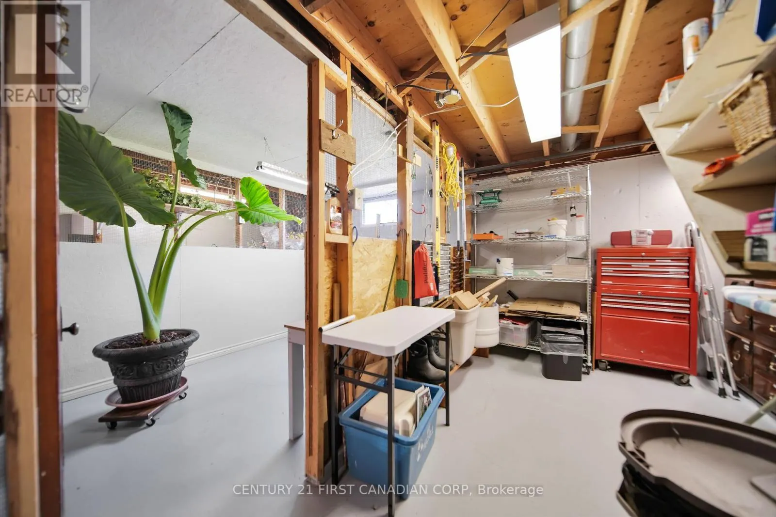 10016 GRAHAM ROAD