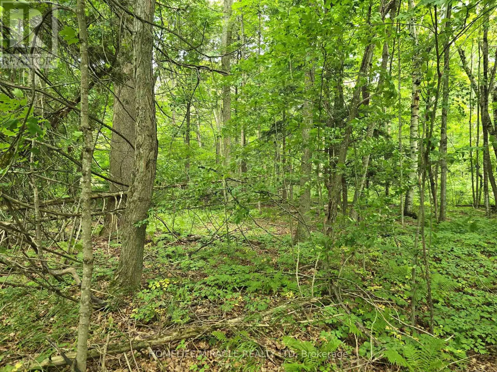 000 CEDAR SANDS ROAD