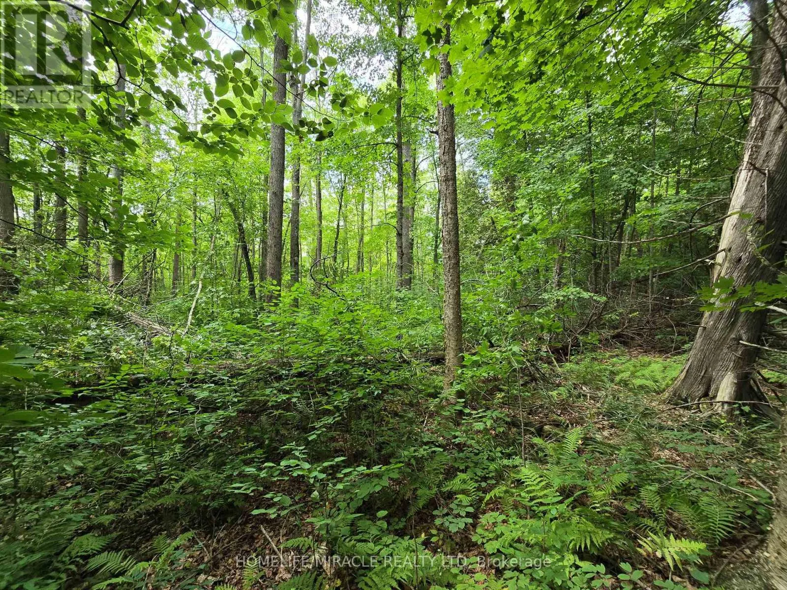 000 CEDAR SANDS ROAD