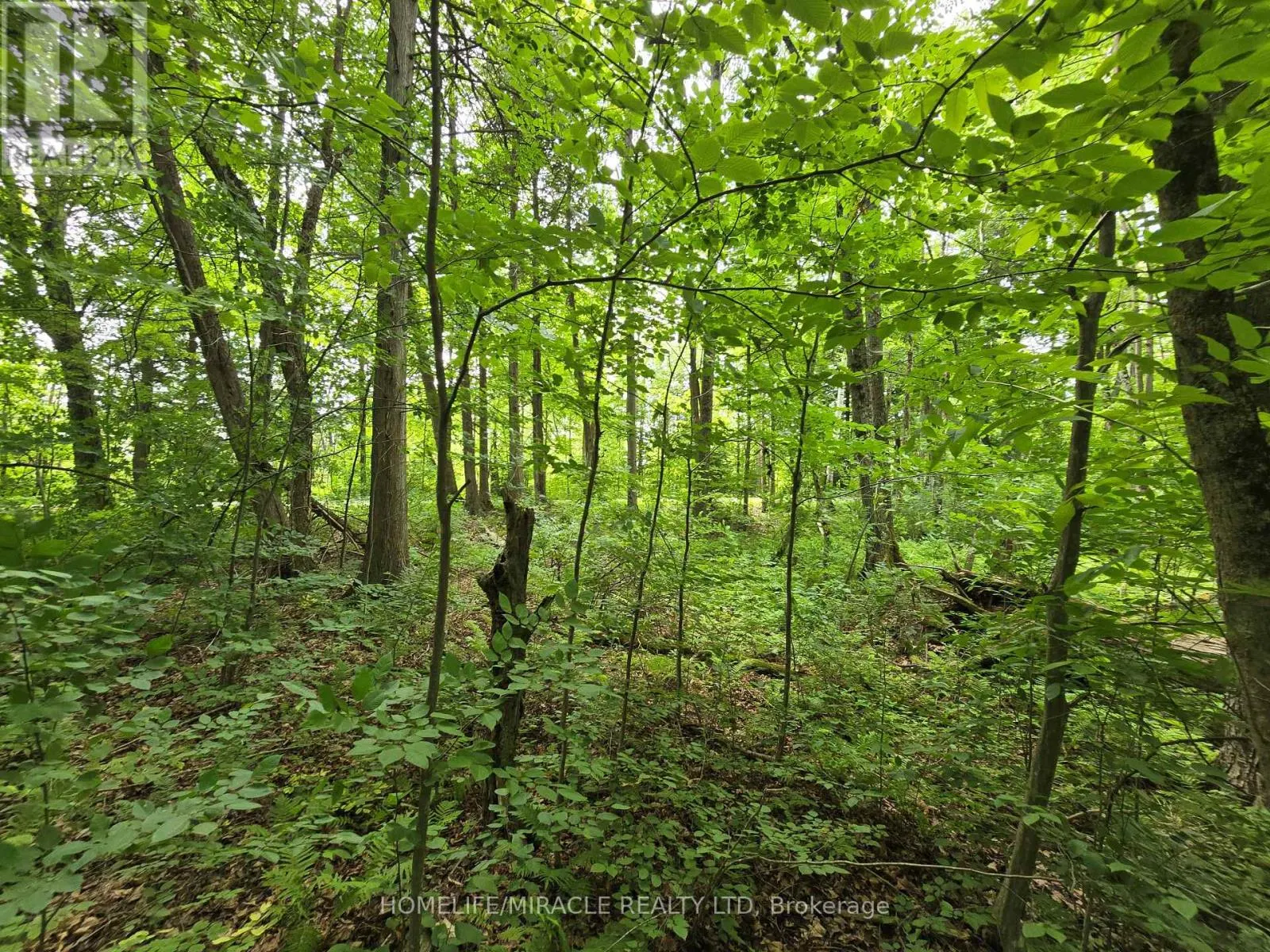 000 CEDAR SANDS ROAD