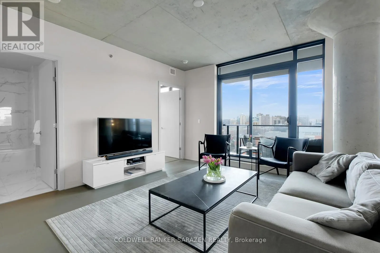 1407 - 203 CATHERINE STREET