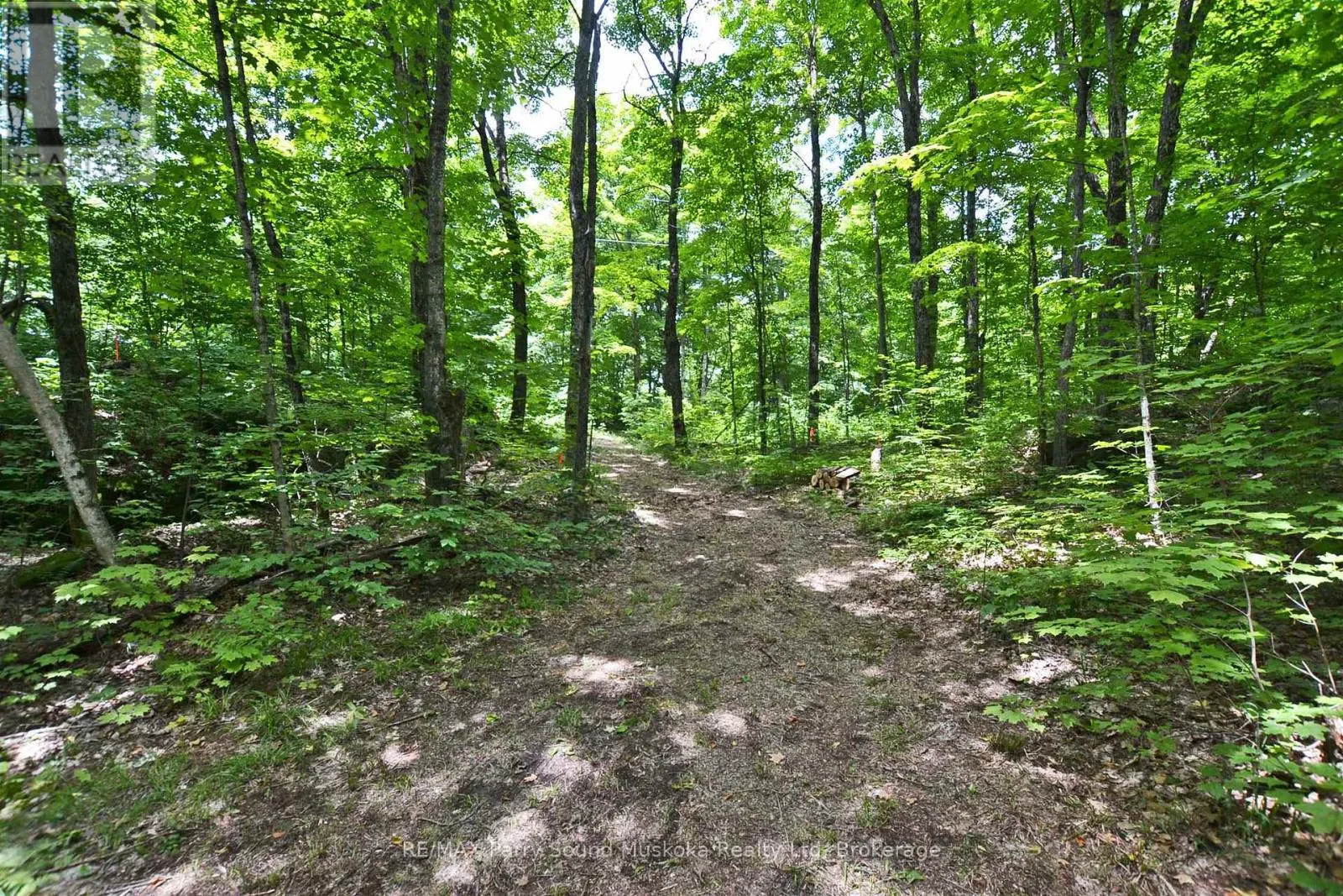 LOT 1 SHIELDS DRIVE