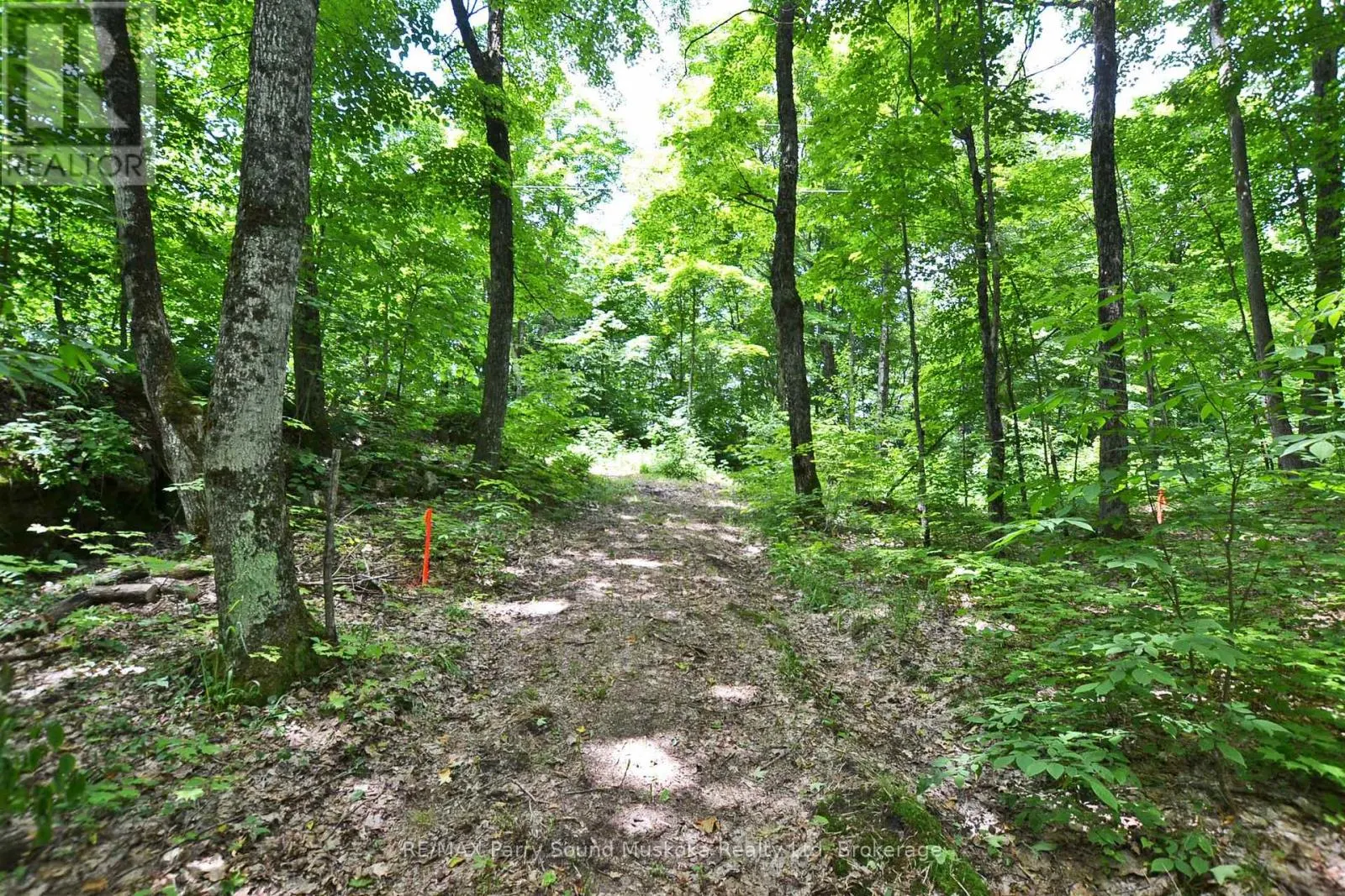 LOT 1 SHIELDS DRIVE