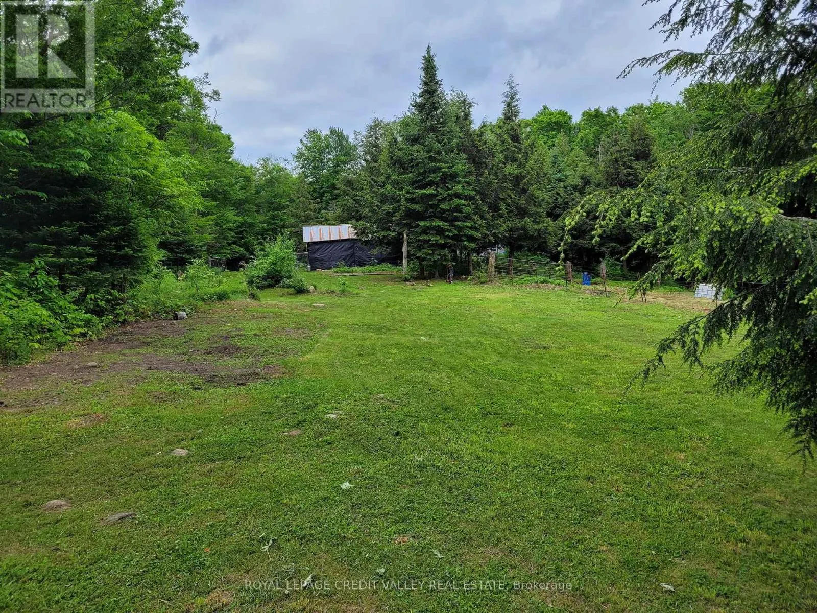 246 HICKEY TRAIL