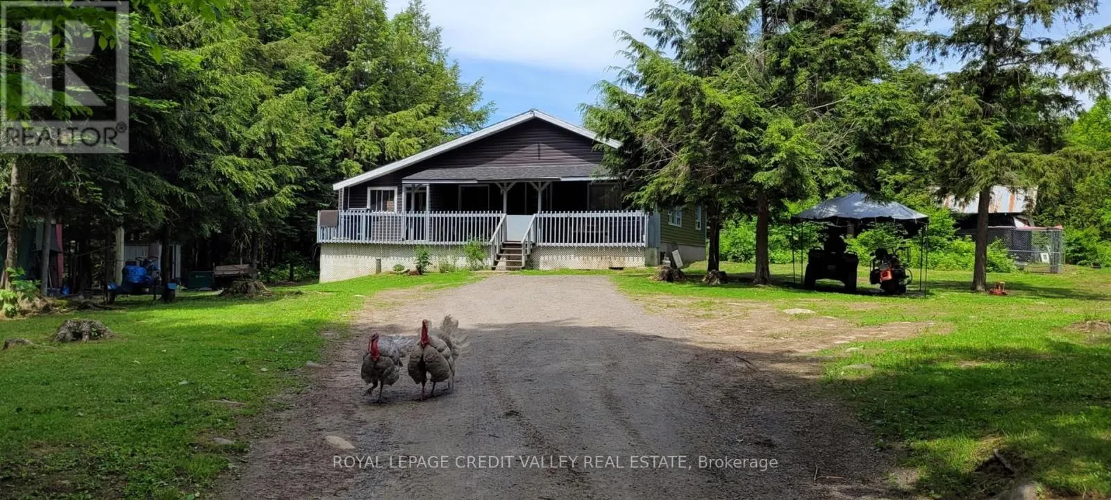 246 HICKEY TRAIL