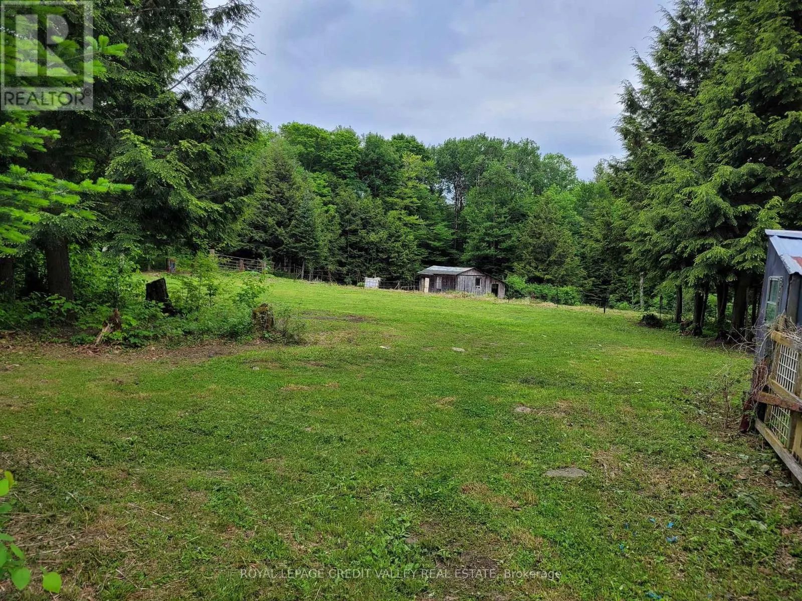 246 HICKEY TRAIL
