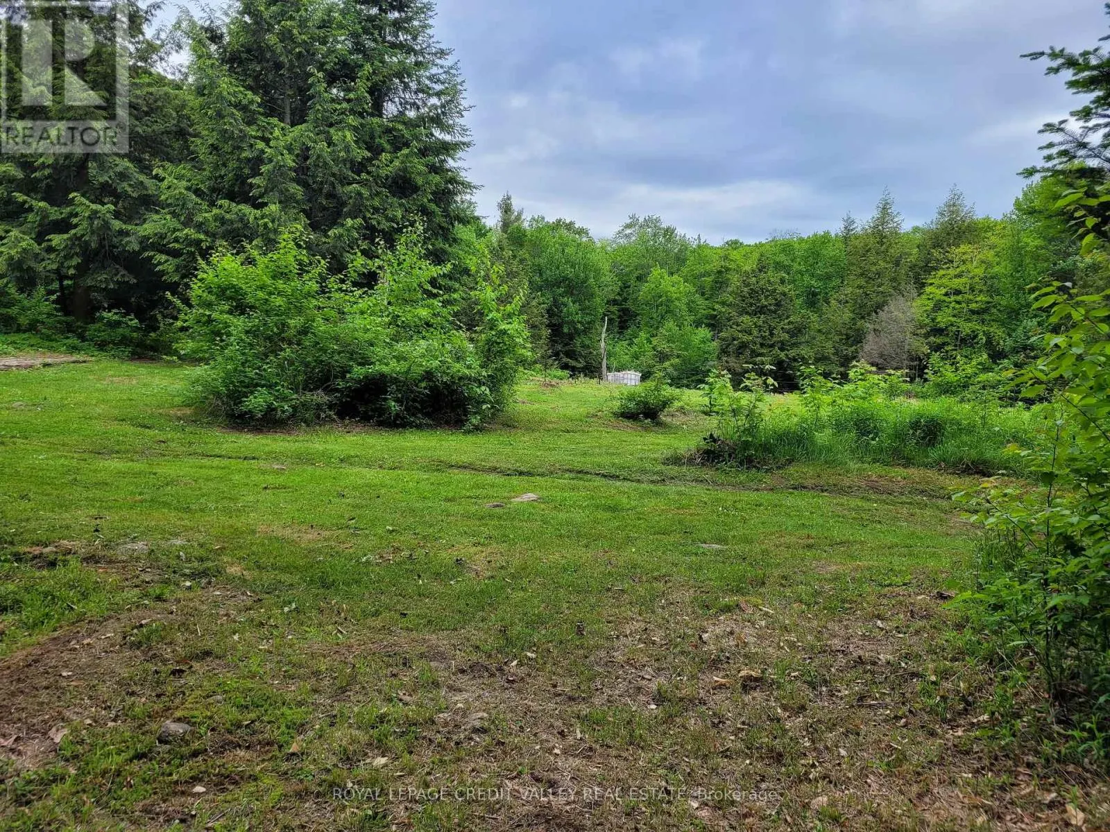 246 HICKEY TRAIL
