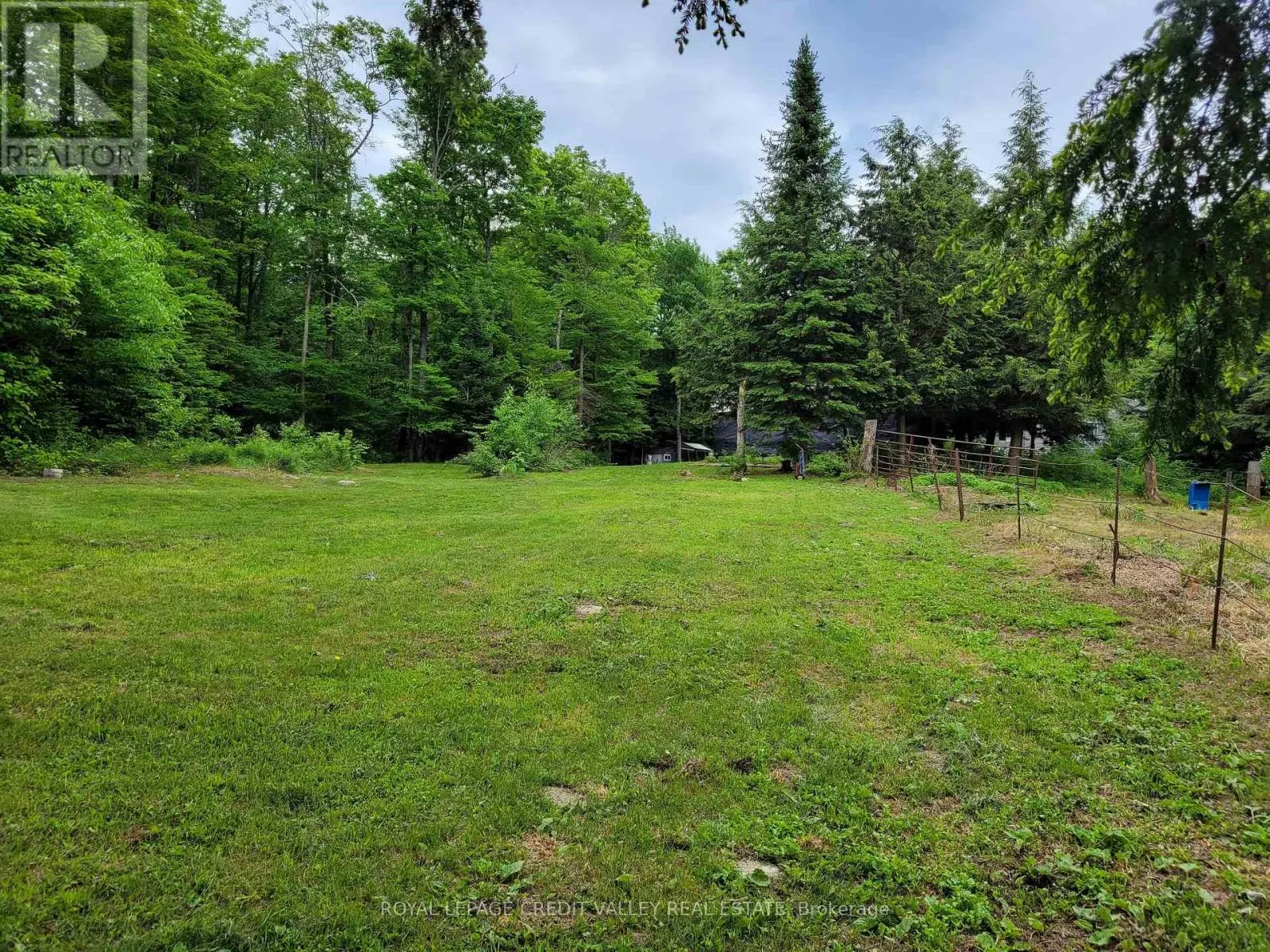 246 HICKEY TRAIL