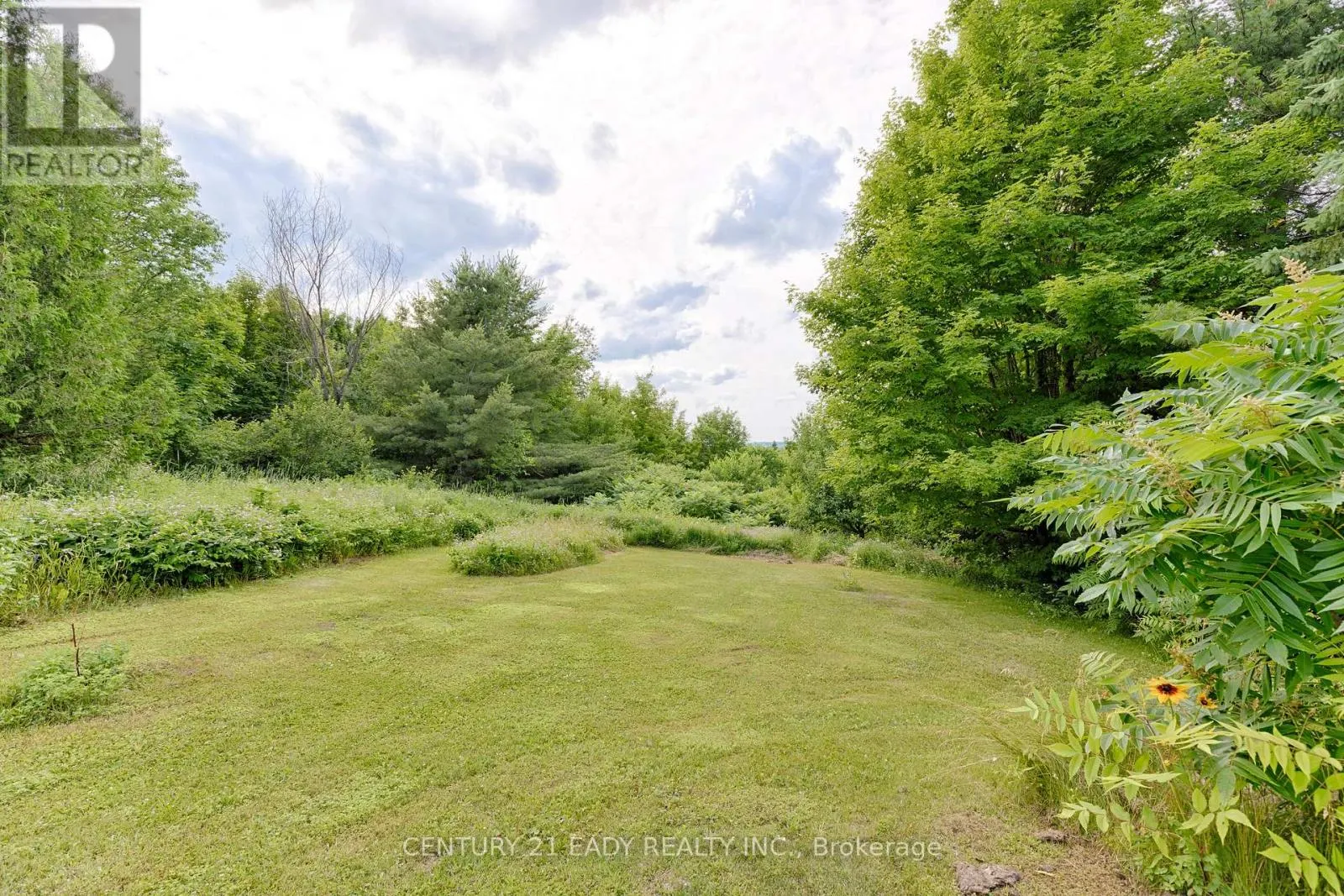 19 ALGONQUIN ROAD