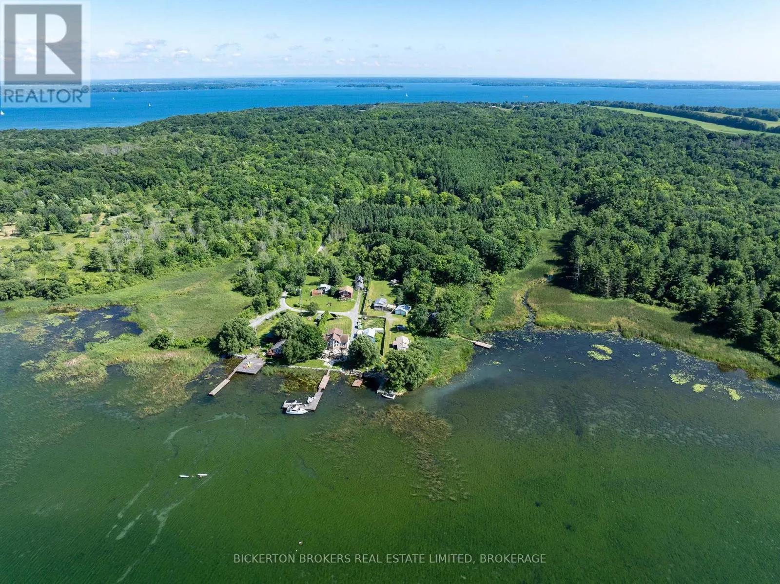 C - 356 DRISCOLL ROAD, #C