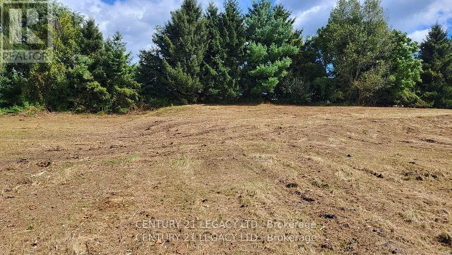 1278 HWY 5 W