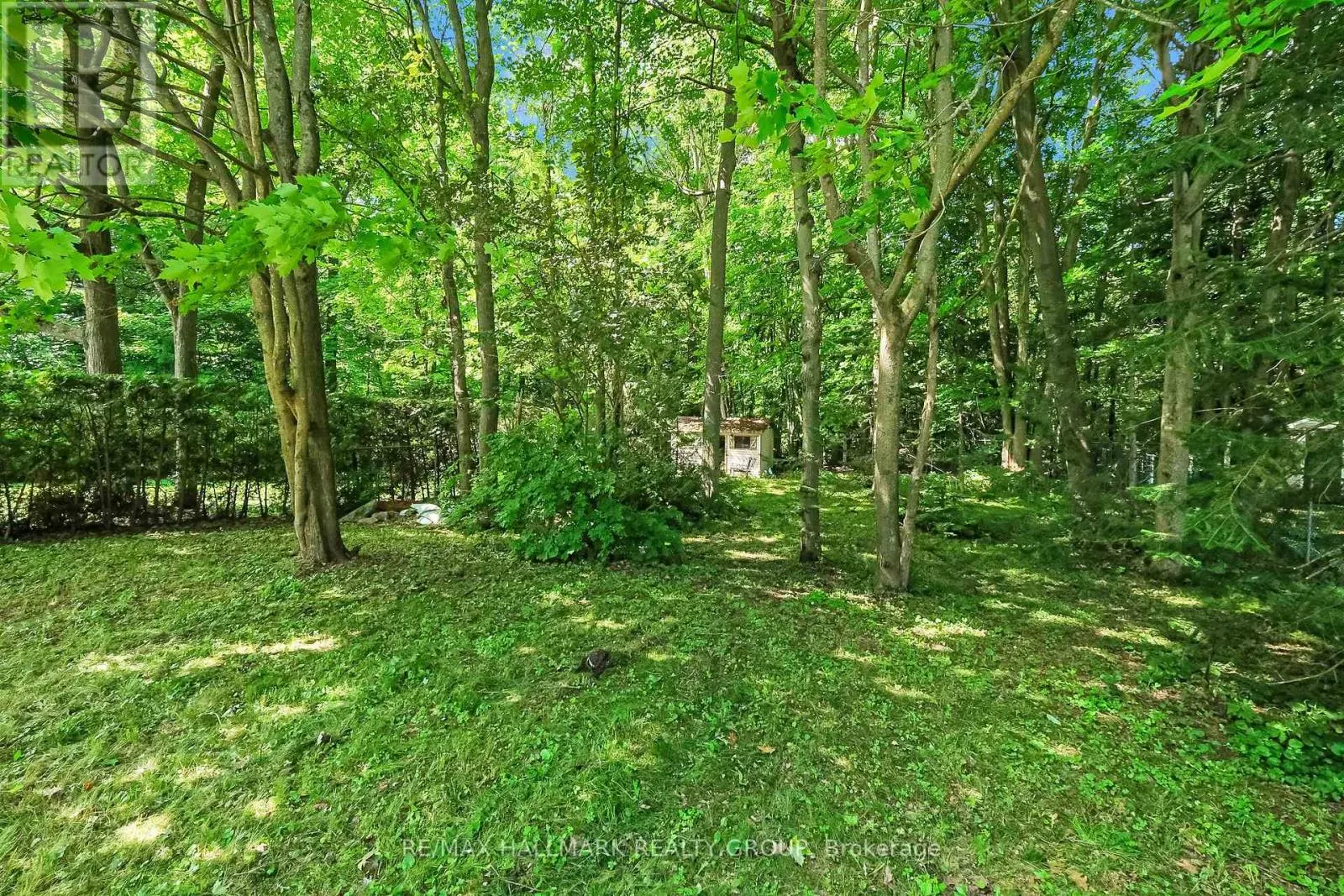 6203 BEAUSEJOUR DRIVE