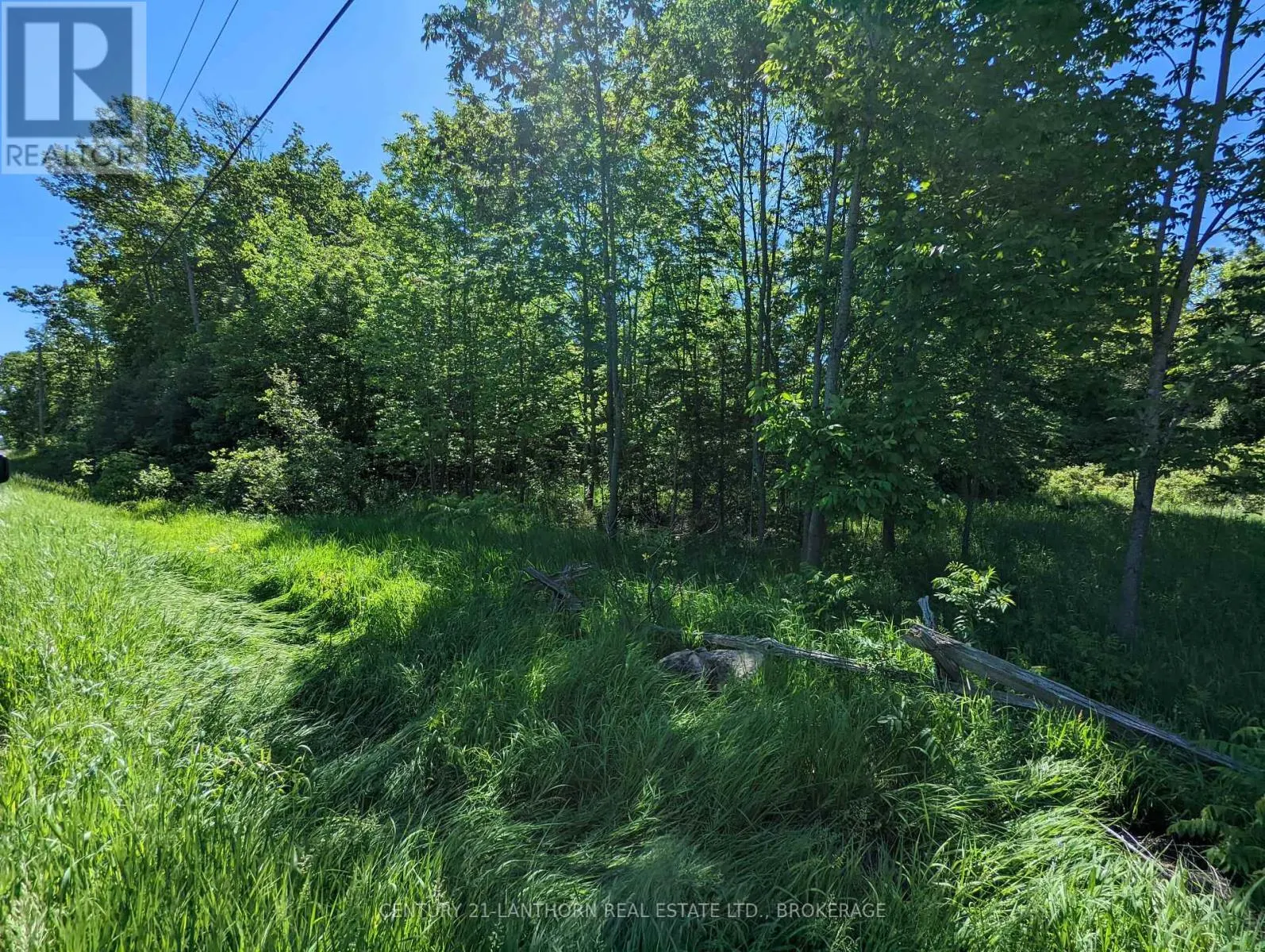 0 PINEGROVE ROAD