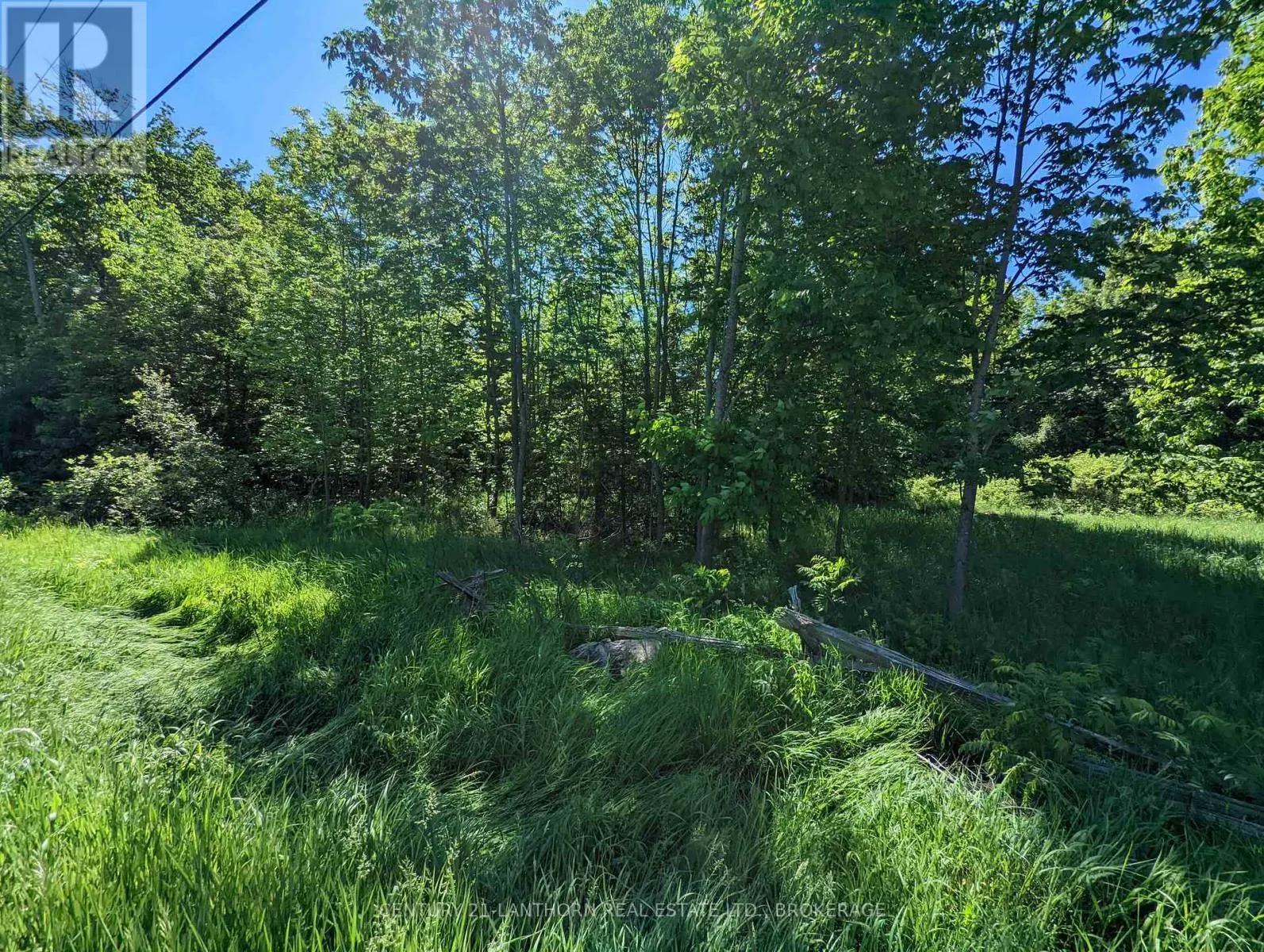 0 PINEGROVE ROAD